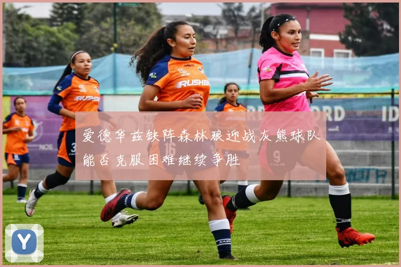 爱德华兹缺阵森林狼迎战灰熊球队能否克服困难继续争胜