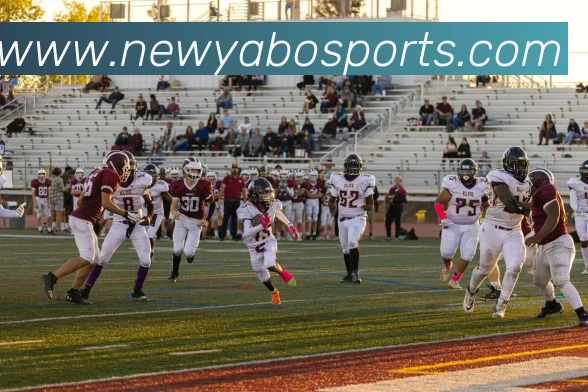 亚博体育服务体系